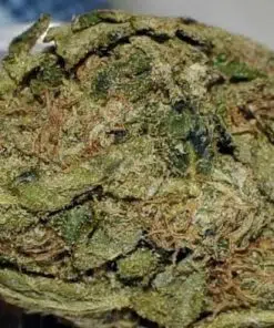 Buy sativa strain weed online