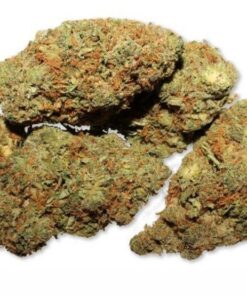 Buy legit Afghan Haze Weed
