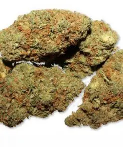 Buy legit Afghan Haze Weed
