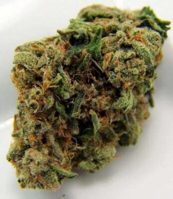 Buy indica strain weed online