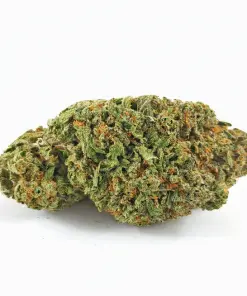 Buy Alaskan Thunder Marijuana Weed