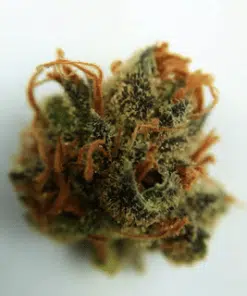 Buy marijuana online