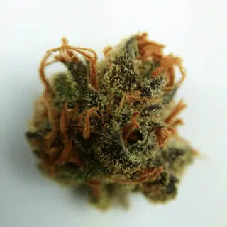 Buy marijuana online