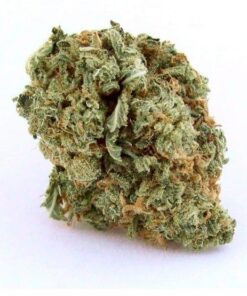 Buy Blue Dream Weed Shop