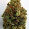 Buy Galactic Jack Marijuana Weed Online - Buy Cannabis Strain Online