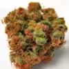 Buy Panama Red Marijuana
