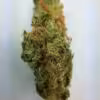 Buy Sweet Berry marijuana weed online