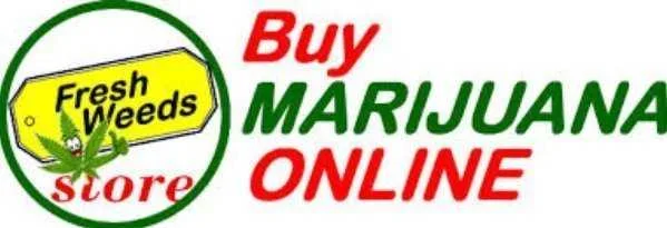 Buy Marijuana Online – Legit Weed Shop Online